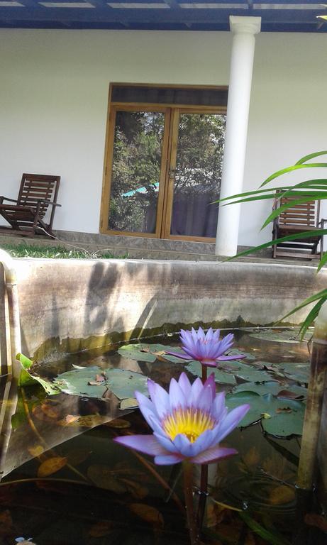 River Retreat Sigiriya Ngoại thất bức ảnh