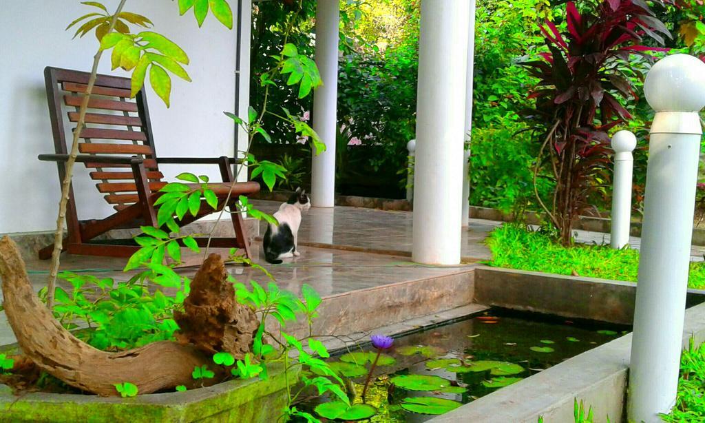 River Retreat Sigiriya Ngoại thất bức ảnh