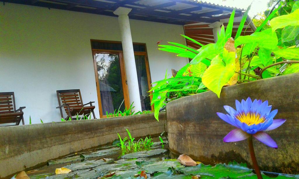 River Retreat Sigiriya Ngoại thất bức ảnh