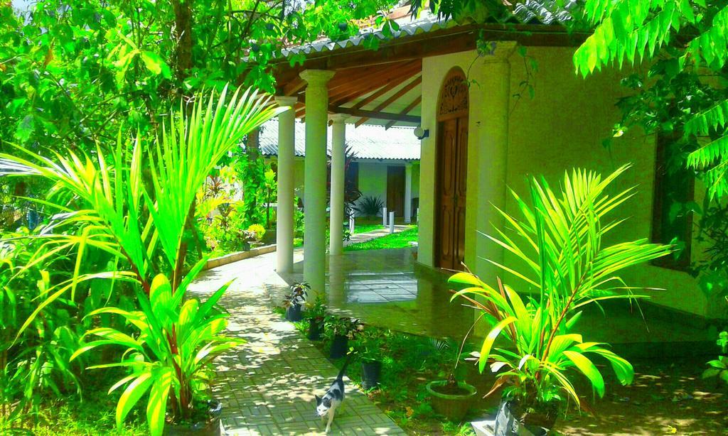 River Retreat Sigiriya Ngoại thất bức ảnh