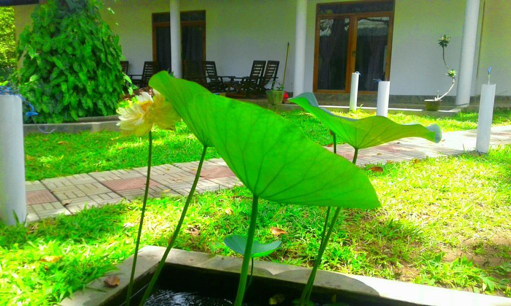 River Retreat Sigiriya Ngoại thất bức ảnh