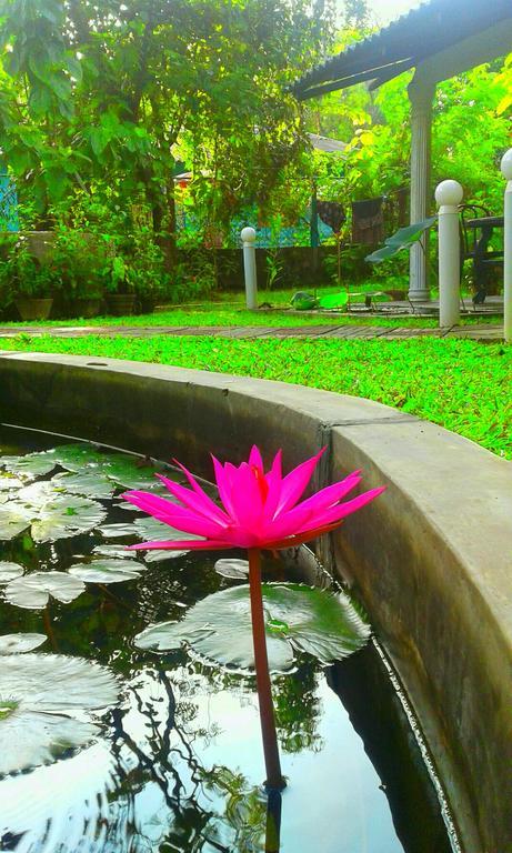 River Retreat Sigiriya Ngoại thất bức ảnh
