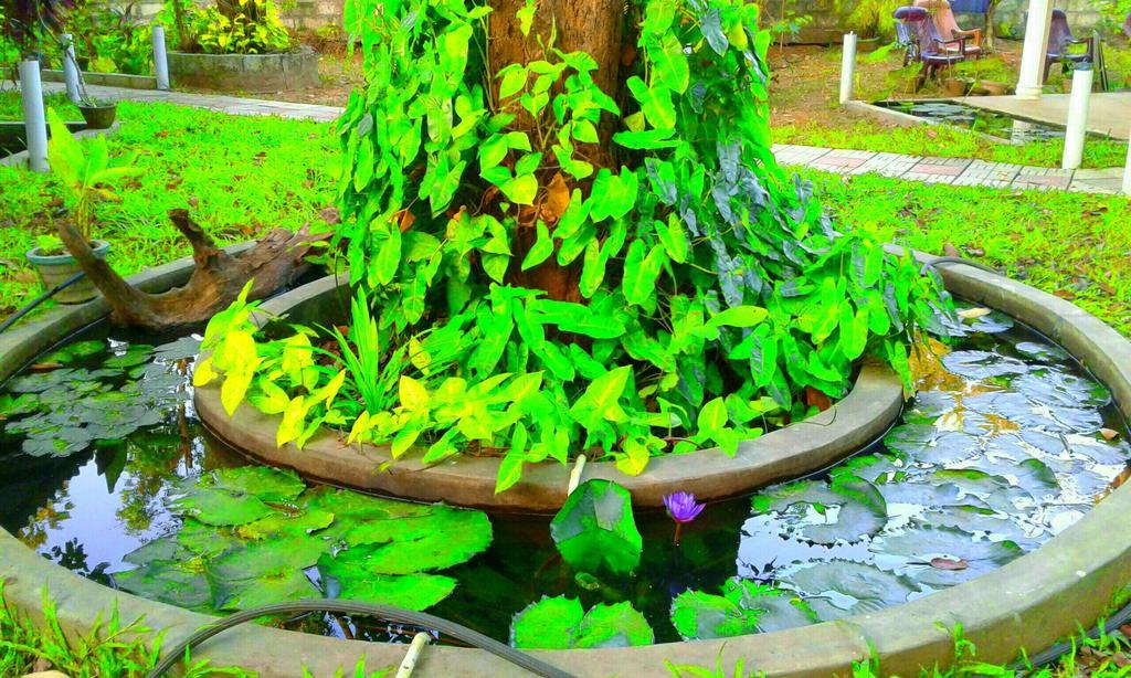 River Retreat Sigiriya Ngoại thất bức ảnh